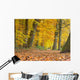 Yellow Foliage Birch Trees