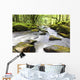 Golitha Falls