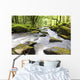 Golitha Falls