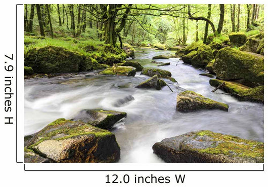 Golitha Falls