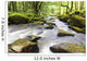 Golitha Falls