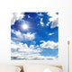 Summer Sky with White