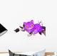 Magic Cat Wall Decal