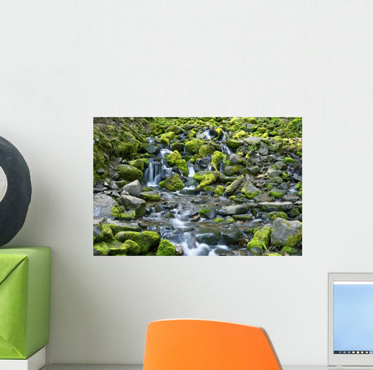 Rocky and Mossy Creek