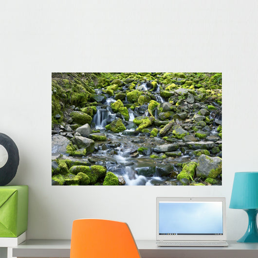 Rocky and Mossy Creek