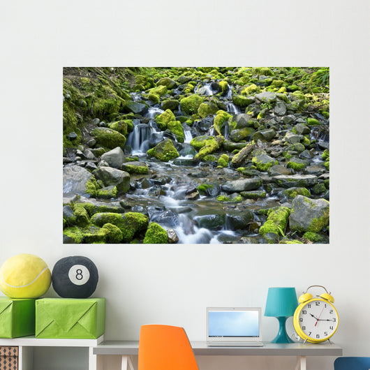 Rocky and Mossy Creek