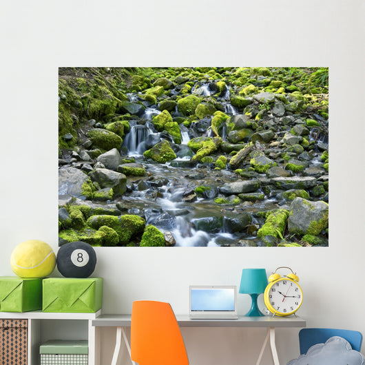 Rocky and Mossy Creek