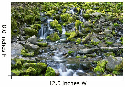 Rocky and Mossy Creek