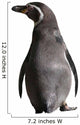 penguin Wall Decal
