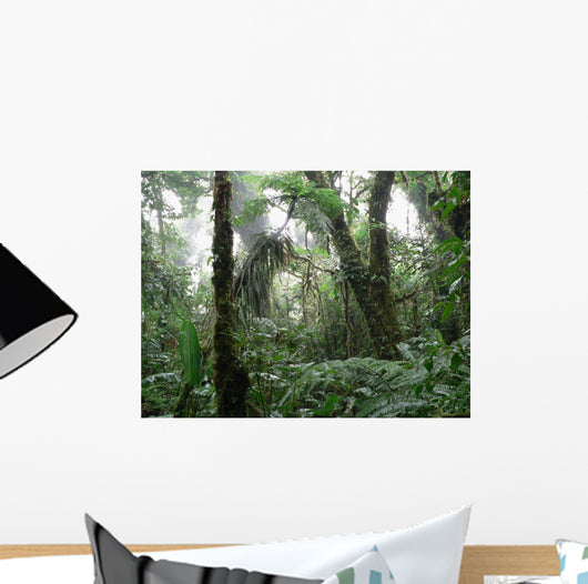 Rain Forest Wall Mural
