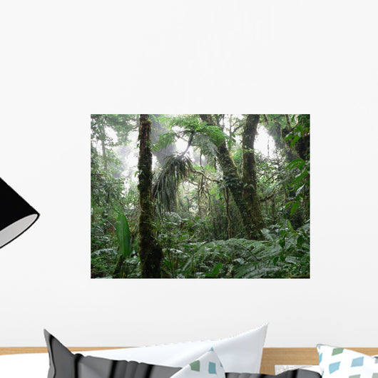Rain Forest Wall Mural