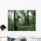 Rain Forest Wall Mural