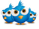 Angry Edges Wall Decal