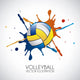 Volleyball Design