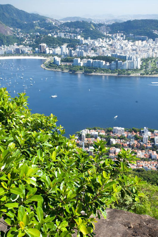 Rio Janeiro Brazil
