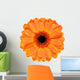 Orange Gerbera Flower White
