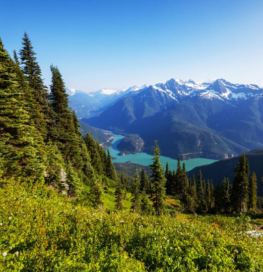 Diablo Lake