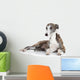 Whippet Lying Front White
