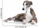 Whippet Lying Front White