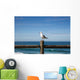 Seagull Perched Wooden Fence