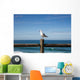 Seagull Perched Wooden Fence