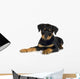 Rottweiler 3 Months Wall Decal