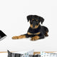 rottweiler (3 months) Wall Decal