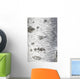 Birch Bark Texture Wall Mural
