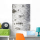 Birch Bark Texture Wall Mural