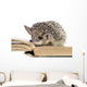 cute hedgehogs read book Wall Decal