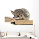 cute hedgehogs read book Wall Decal