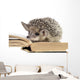 cute hedgehogs read book Wall Decal