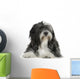 Tibetan Terrier 6 Years Wall Decal