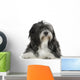 Tibetan Terrier (6 years) Wall Decal