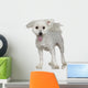 Maltese Dog 1 Year Wall Decal