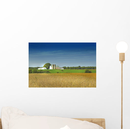 country farm Wall Mural