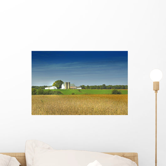 country farm Wall Mural