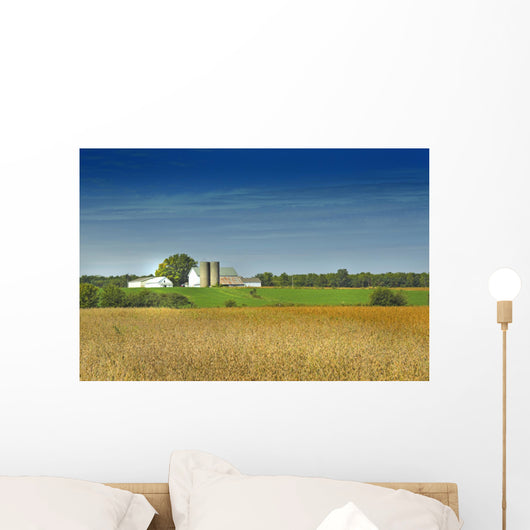 country farm Wall Mural