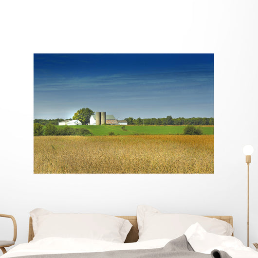 country farm Wall Mural