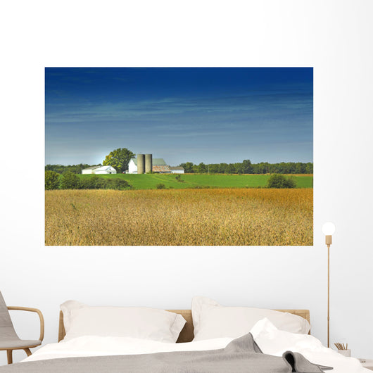 country farm Wall Mural
