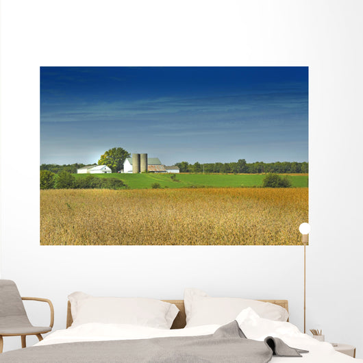 country farm Wall Mural