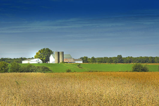 country farm Wall Mural