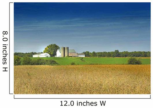 country farm Wall Mural