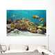 Underwater Landscape Coral Reef