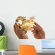 Dentist Holding Teeth Model Wall Decal