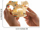 Dentist Holding Teeth Model Wall Decal