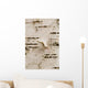 Birch