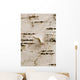 Birch
