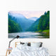 The gorge of mountain river in the morning Wall Mural
