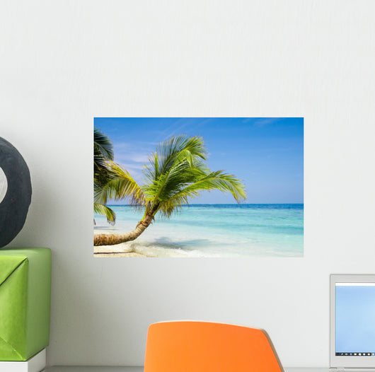 Exotic Palm Trees White